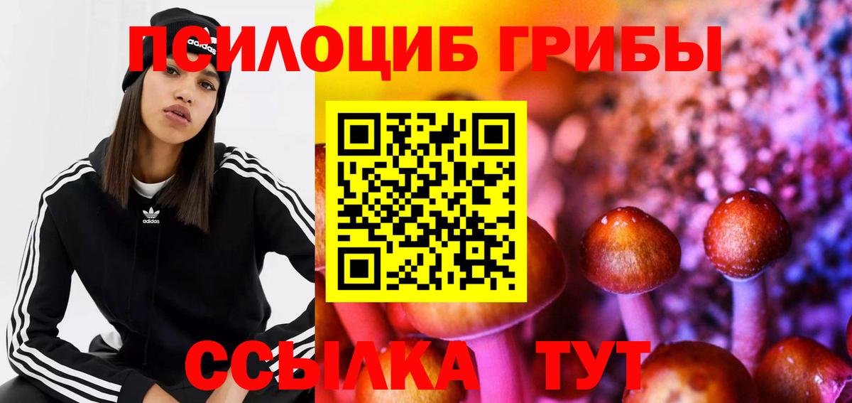 Батайск  Псилоцибиновые грибы MAGIC MUSHROOMS  Вход с VPN  Псилоцибиновые грибы Cubensis 